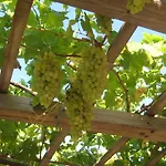Traditional بيت للعطل *